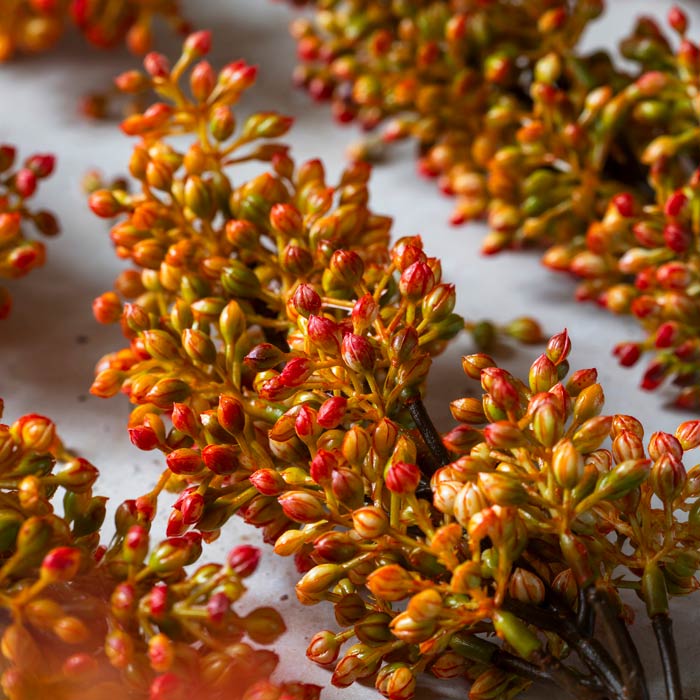 Faux Sorghum Stem Sunset 46cm