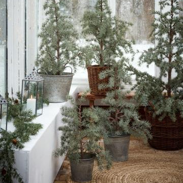 Artificial Cedar Tree in Plastic Pot 80cm | Annie Mo's-2