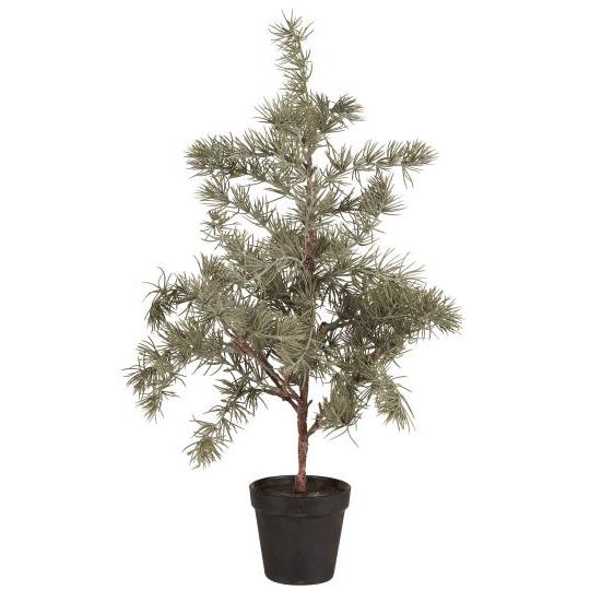 Artificial Cedar Tree in Plastic Pot 80cm | Annie Mo's