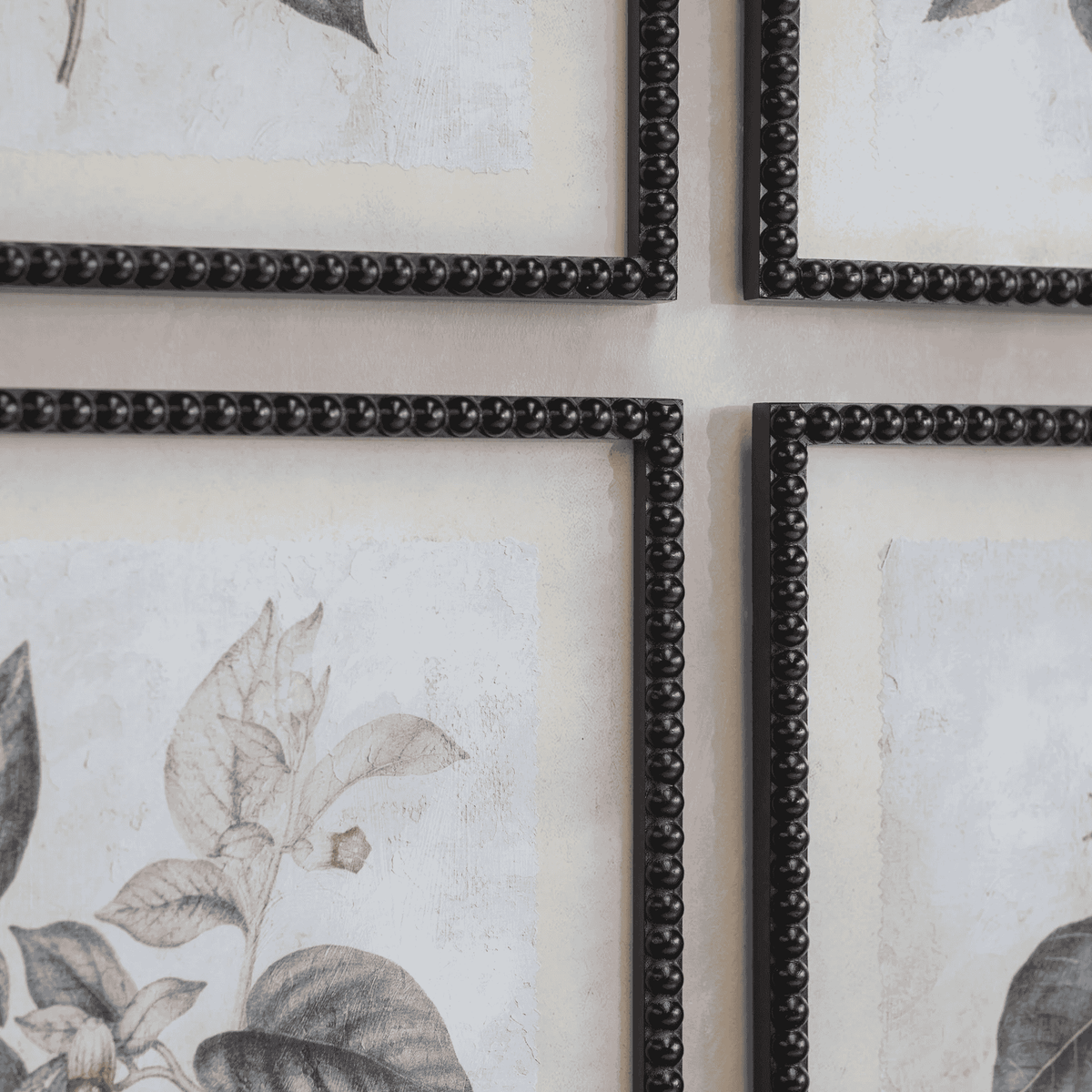 Ashmore Set of Four Botanical Framed Prints 60cm | Annie Mo's-b
