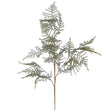 Asparagus Fern Spray 80cm | Annie Mo's