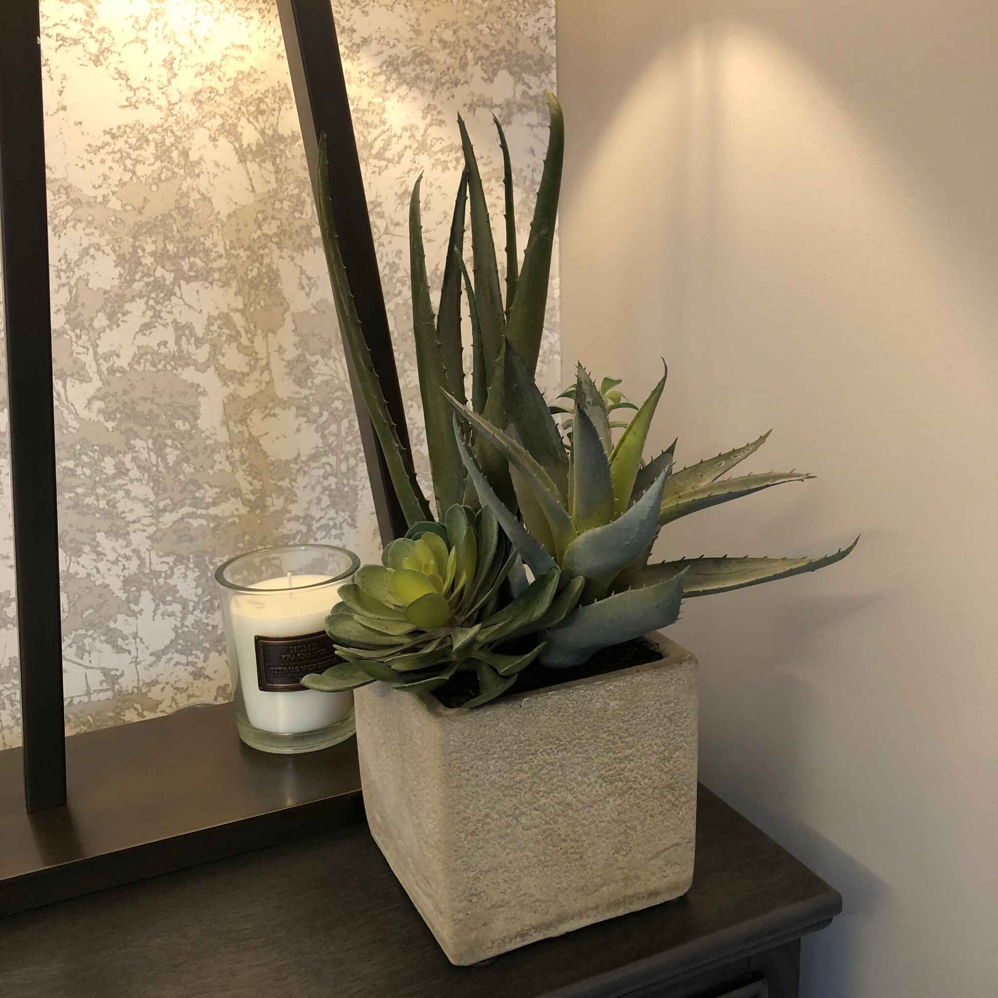 Assorted Cactus in Grey Pot