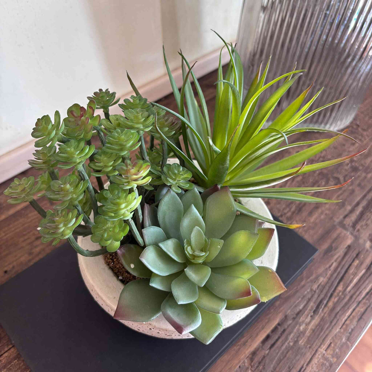 Assorted Green Succulents 2