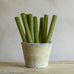 Rustic Dinner Candle Fern Green 27cm