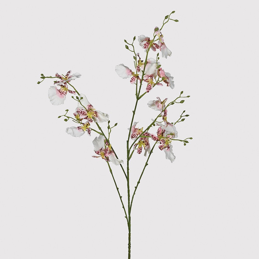 Ballerina Dancing Orchid Stem Spray