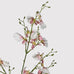 Ballerina Dancing Orchid Stem Spray 90cm F