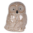 Barnaby Glazed Owl 11cm | Annie Mo's