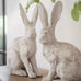 Birkdale Pair of Hares 48cm