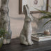 Birkdale Sitting Bunnies - Choice Size