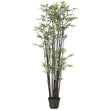 Black Multi Stem Bamboo Tree in Black Plastic Pot | Annie Mo's