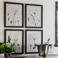 Botanical Prints in Distressed Black Frames 50cm | Annie Mo's