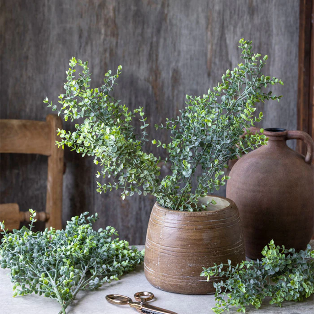 Boxwood Stem 72cm | Annie Mo's