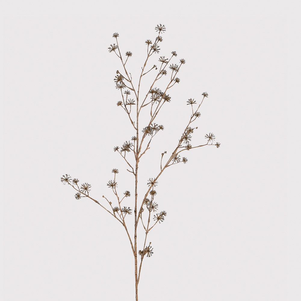 Brown Dogwood Stem 140cm | Annie Mo's