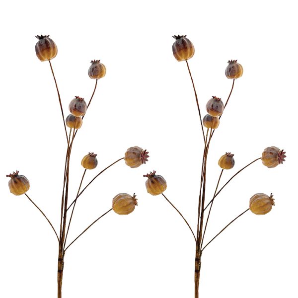Brown Papaver Stem 66cm | Annie Mo's
