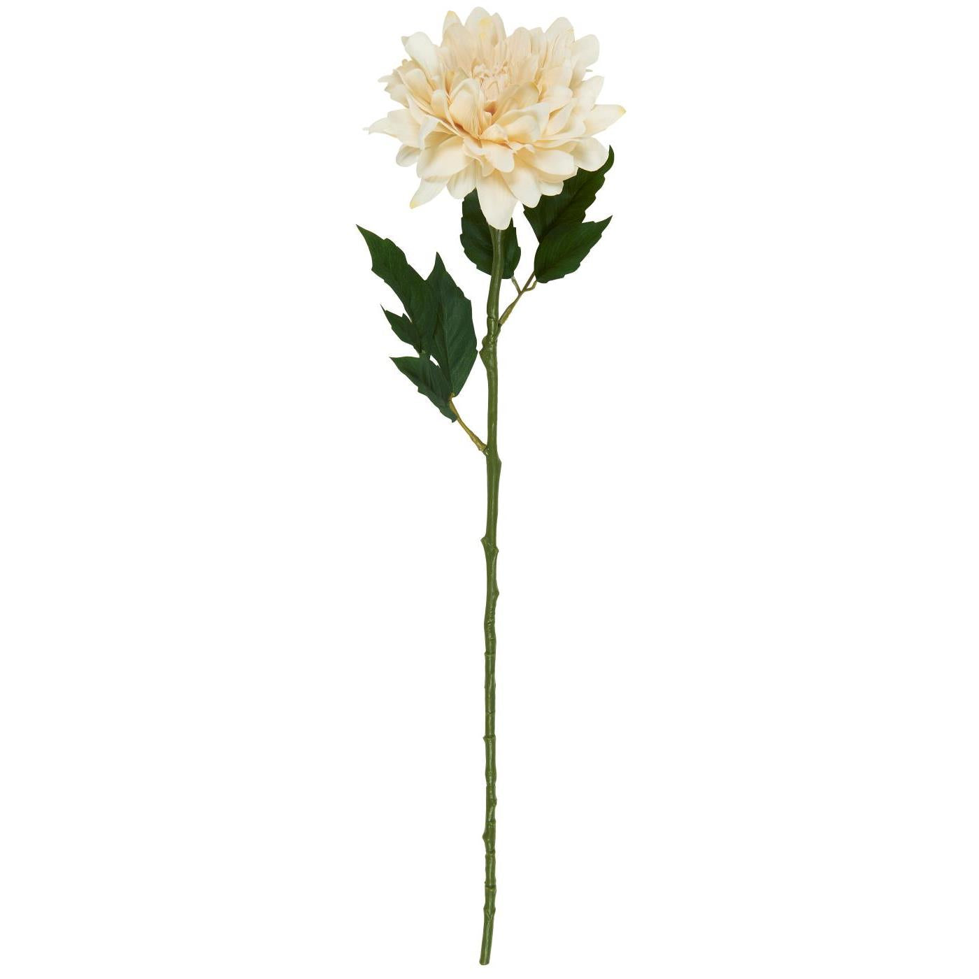 Butter Cream Dahlia Stem 45cm | Annie Mo's B