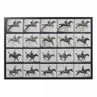 Monochrome Vintage Horse Jumping Cinematograph 103cm | Annie Mo's