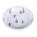 Skiing Plate 25cm | Annie Mo's