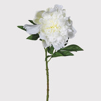 Snow White Peony with Leaves 62cm | Annie Mo's