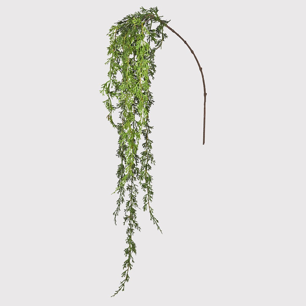 Cedar and Seed Pod Hanging Stem 80cm | Annie Mo's