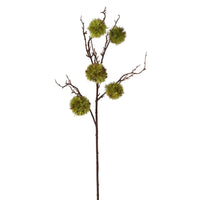 Moss Chestnut Stem 90cm | Annie Mo's
