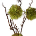 Moss Chestnut Stem 90cm
