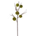 Moss Chestnut Stem 90cm | Annie Mo's