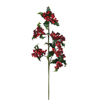 Holy and Ivy Stem 63cm | Annie Mo's