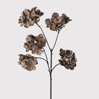 Mocha Hydrangea Gem Stem 65cm | Annie Mo's