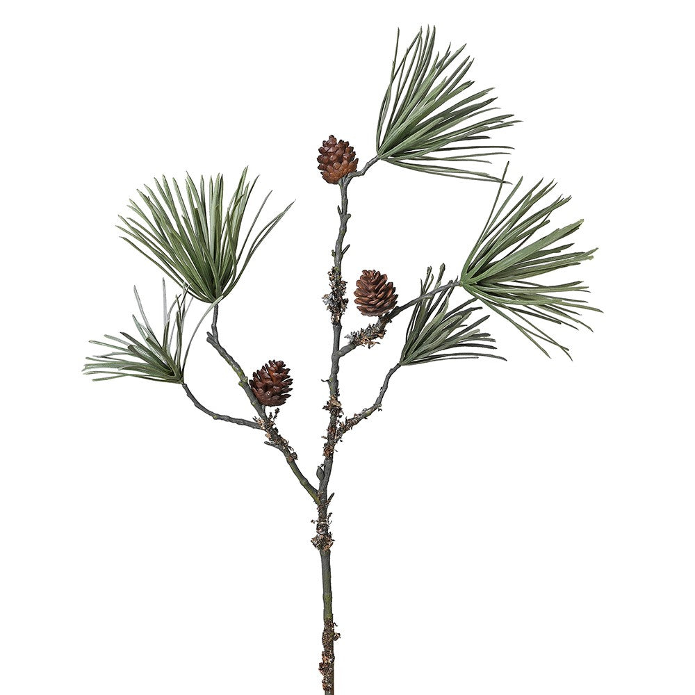 Scots Pine with Pinecones Stem 75cm | Annie Mo's
