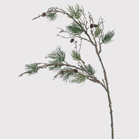 Pine Stem with Cones and Moss 100cm | Annie Mo's