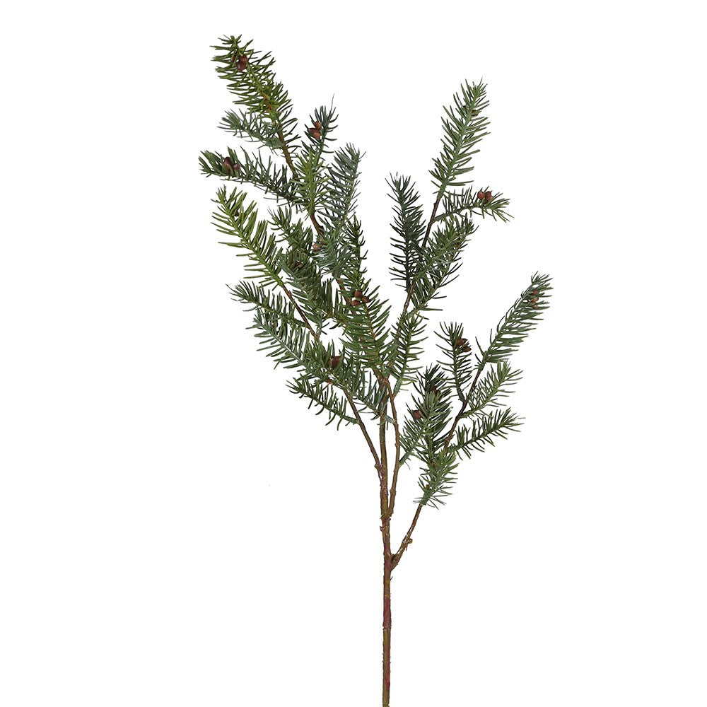 Nordmann Fir Seeds Spray 110cm | Annie Mo's