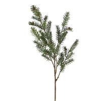 Nordmann Fir Seeds Spray 110cm | Annie Mo's