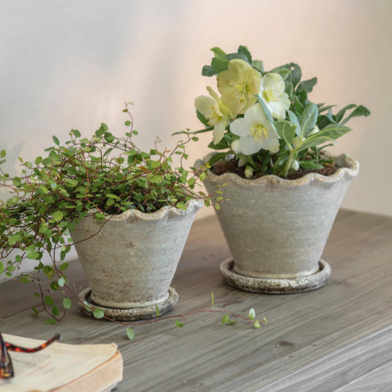 Carden Planter - Size Choice | Annie Mo's 