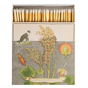 Chien Botanical Drawing Matches | Square Matchboxes | Annie Mo's