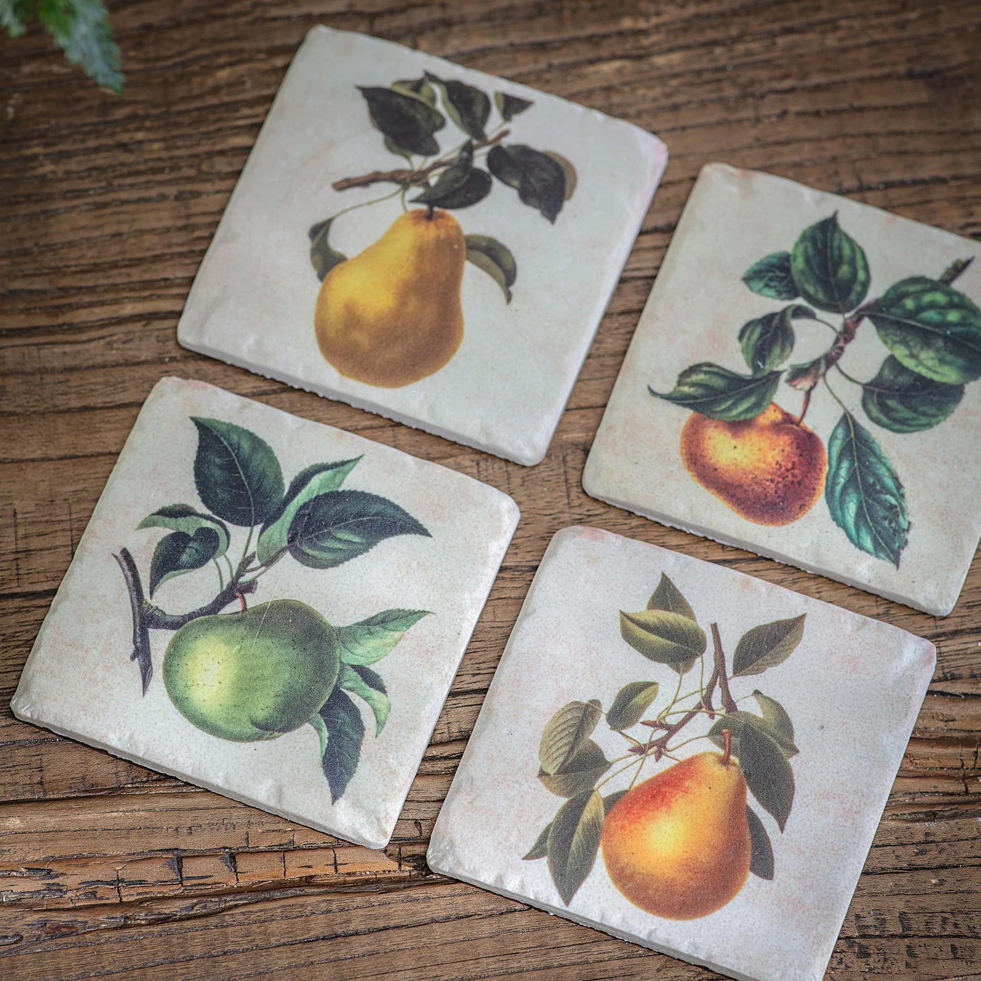 Colton Apple and Pear Coasters | Annie Mo's