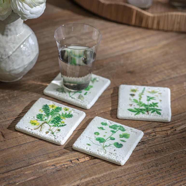 Colton Botanical Coasters 11cm | Annie Mo's