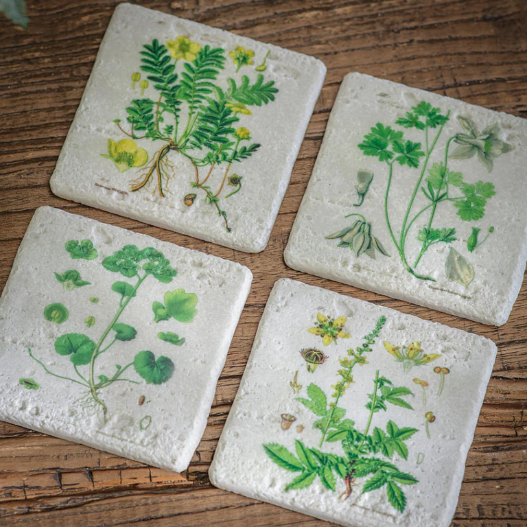 Colton Botanical Coasters 11cm B | Annie Mo's