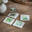 Colton Botanical Coasters 11cm | Annie Mo's