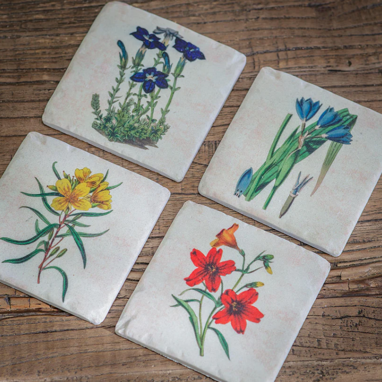 Colton Floral Coasters 11cm B | Annie Mo's