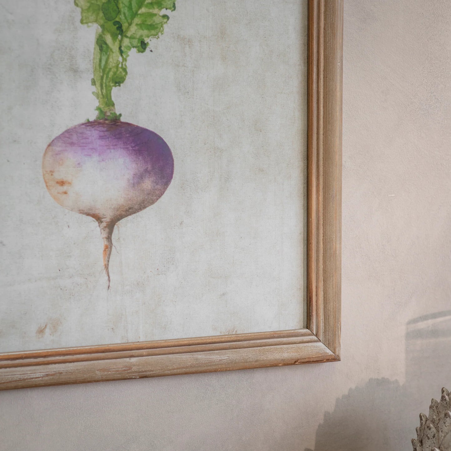 Croston Set of Four Root Vegetable Framed Prints 65cm