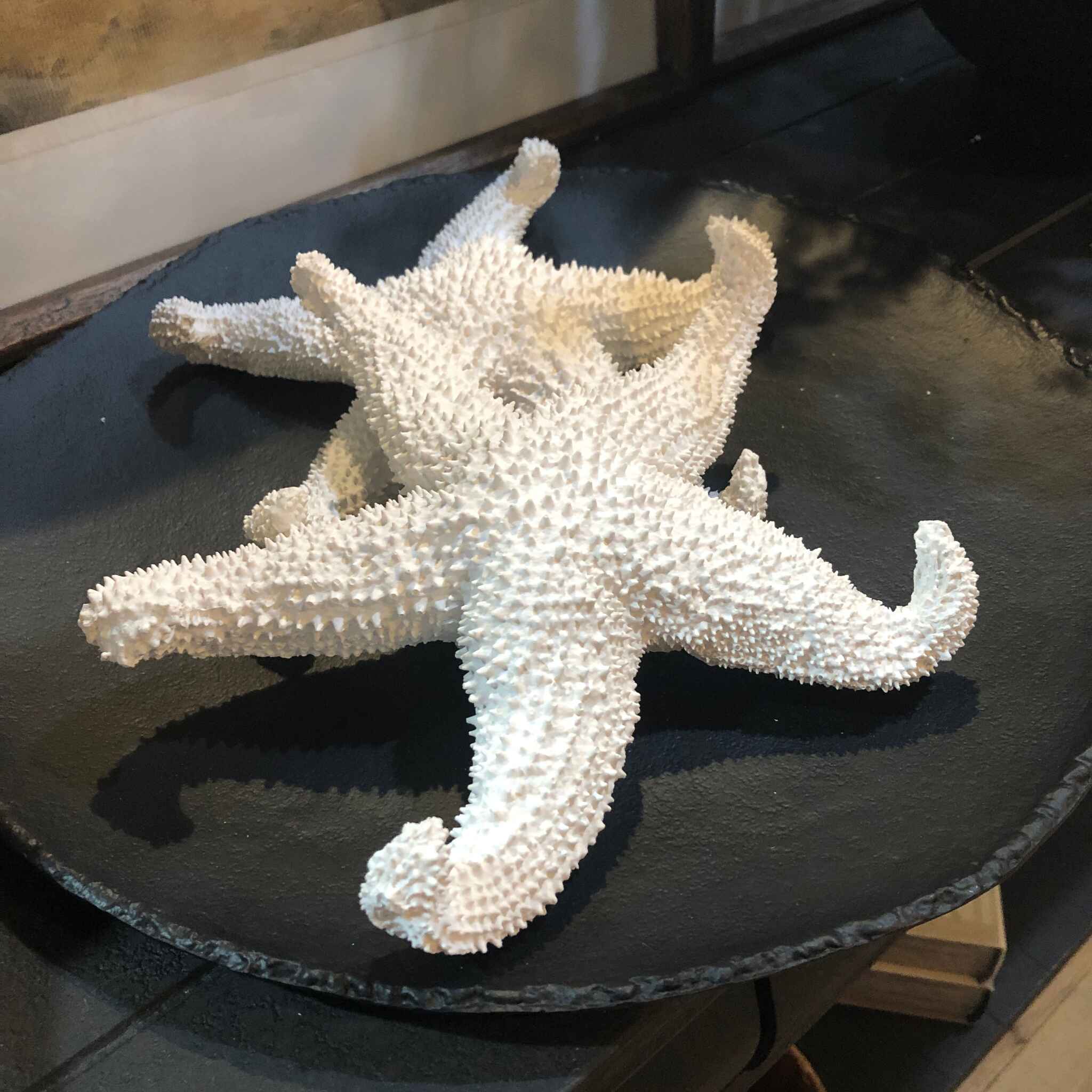 Decorative White Coral Starfish