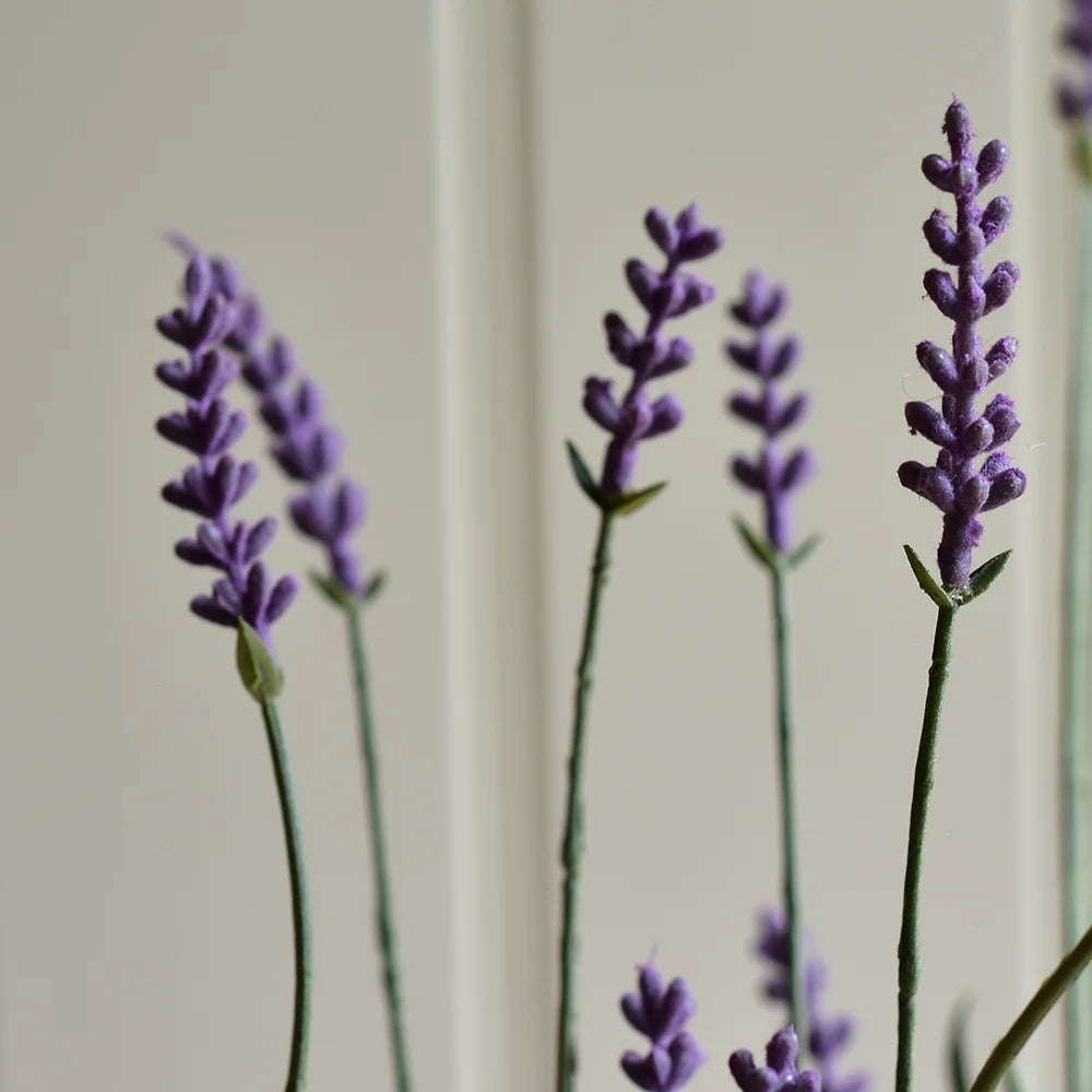 EnglishLavenderinPot44cm b