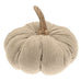 Natural Pumpkin 23cm | Annie Mo's