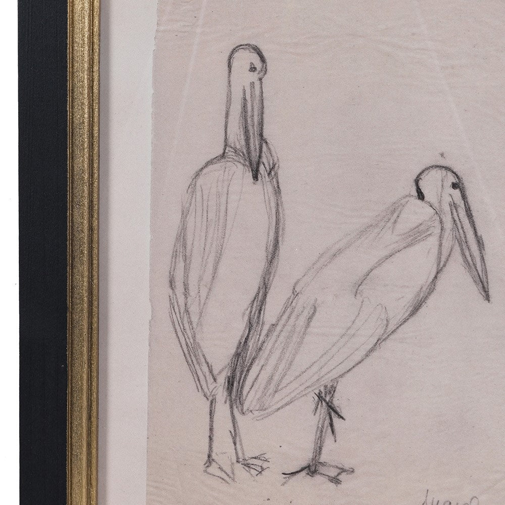 Framed Pelican Print 30cm
