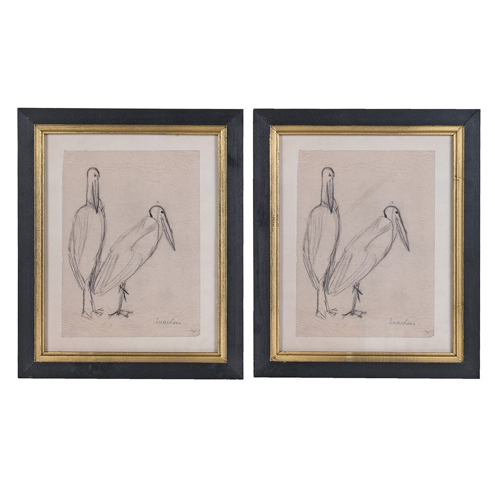 Framed Pelican Print 30cm