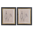 Framed Pelican Print 30cm