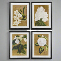 Framed Set of Four White Florals Wall Art 60cm | Annie Mo's