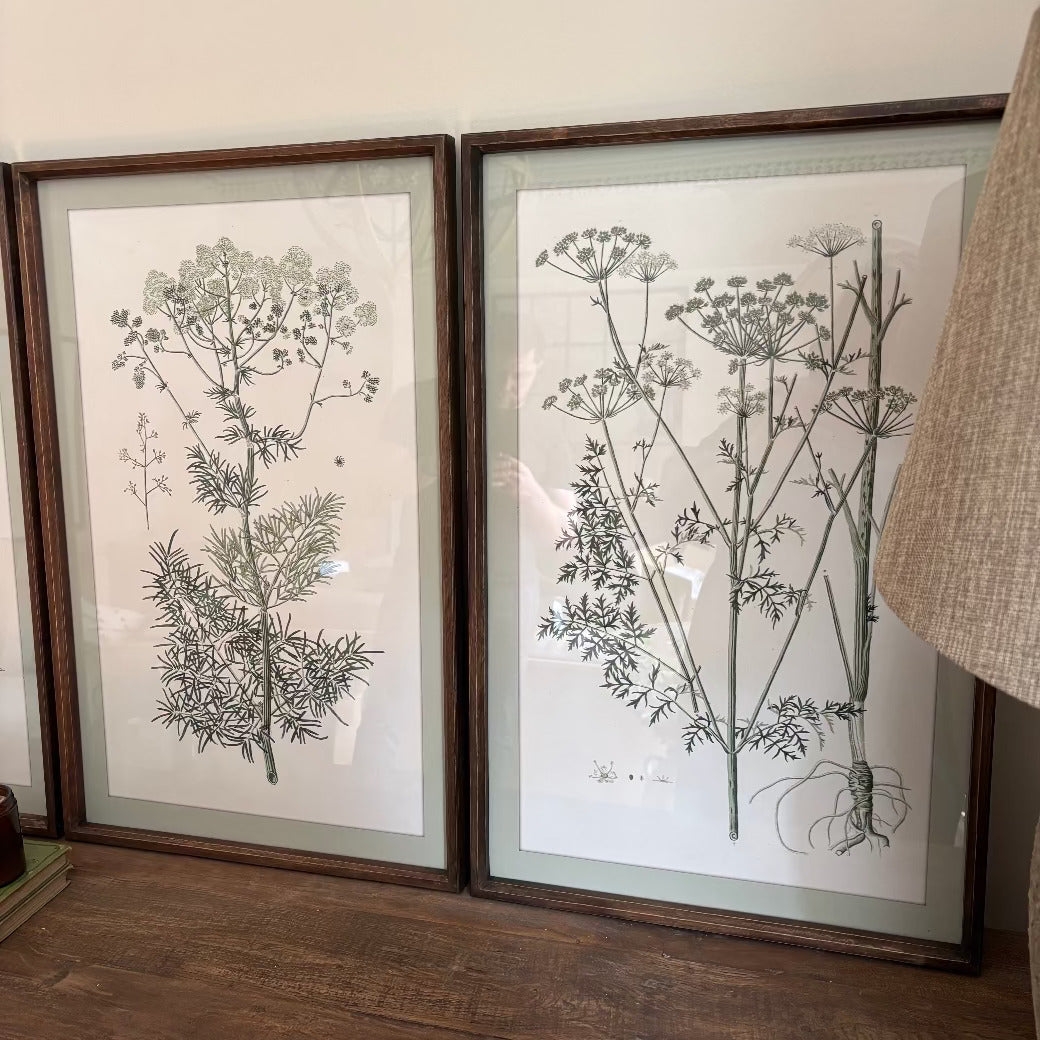 Meadowsweet Collective Prints 70cm - Style Choice | Annie Mo's d