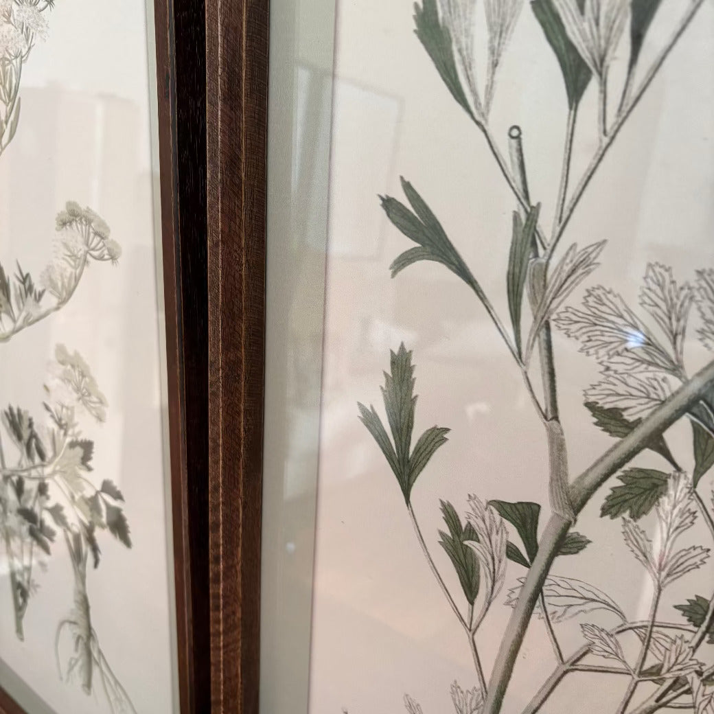 Meadowsweet Collective Prints 70cm - Style Choice | Annie Mo's c