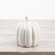 Glazed White Decorative Pumpkin 12cm | Annie Mo's